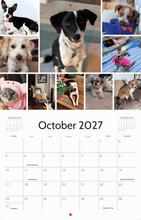 Load image into Gallery viewer, Sweet Paws Rescue 2027 Calendar