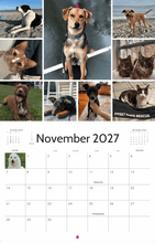 Load image into Gallery viewer, Sweet Paws Rescue 2027 Calendar