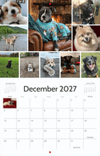 Load image into Gallery viewer, Sweet Paws Rescue 2027 Calendar