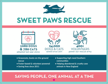 Load image into Gallery viewer, Sweet Paws Rescue 2027 Calendar