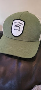Assorted Cat Logo Hats