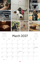 Load image into Gallery viewer, Sweet Paws Rescue 2027 Calendar