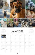 Load image into Gallery viewer, Sweet Paws Rescue 2027 Calendar
