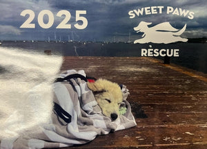 Dog 2025 Calendar