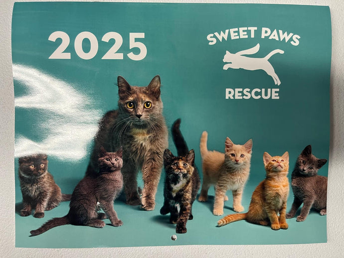 Cat 2025 Calendar