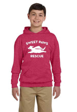 Load image into Gallery viewer, Youth Dog AND Cat hoodies (assorted colors)