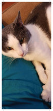 Load image into Gallery viewer, Symbolic Adoption